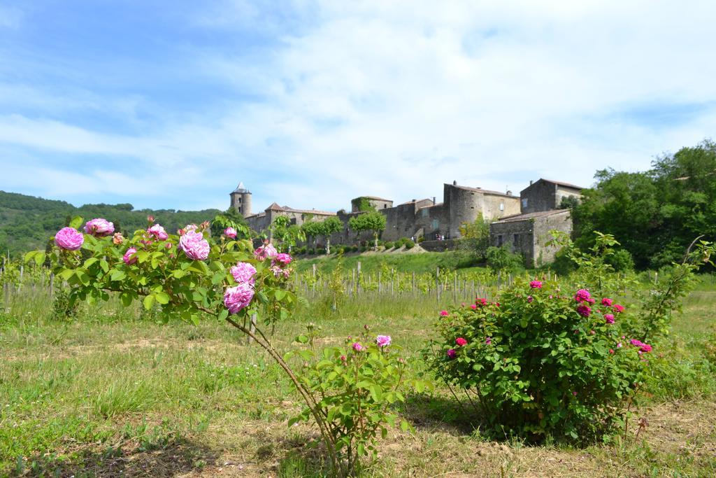 Chambres d'Hôtes Domaine du Hameau Baylesse Saint-Jean-d'Aigues-Vives Exterior foto